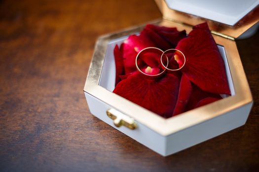 Gold wedding rings for newlyweds on wedding day