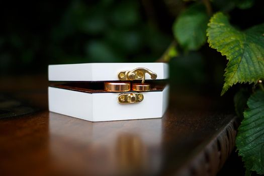 Gold wedding rings for newlyweds on wedding day