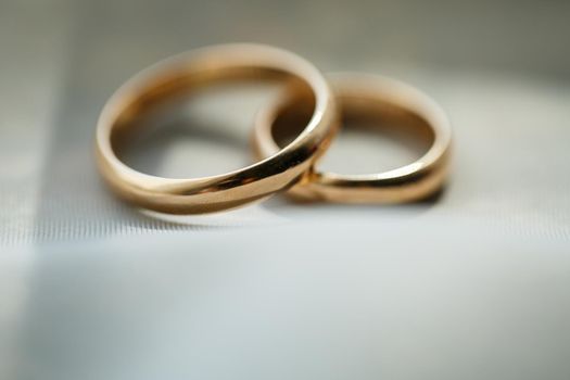 Gold wedding rings for newlyweds on wedding day