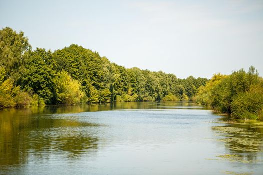 Beautiful nature on a bright sunny day