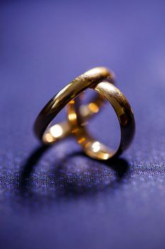 Gold wedding rings for newlyweds on wedding day