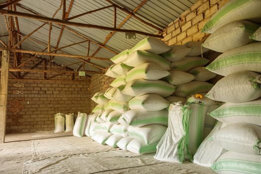 Large bags of raw coffee beans in a warehouse at farm in Africa region
