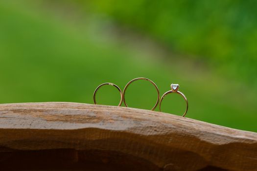 Gold wedding rings for newlyweds on their wedding day. Jewelry for the holiday of a couple in love