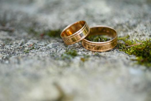 Gold wedding rings for newlyweds on wedding day