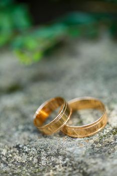 Gold wedding rings for newlyweds on wedding day