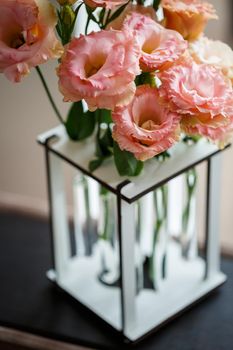 Beautiful flower with leaves standing in a medical test tube