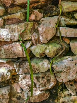 Texture and pattern of the ancient Tulum ruins Mayan site with temple ruins pyramids and artifacts in the tropical natural jungle forest palm and seascape panorama view in Tulum Mexico.