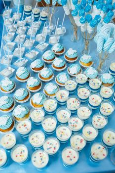 sweet cupcakes and cookies for children on birthday