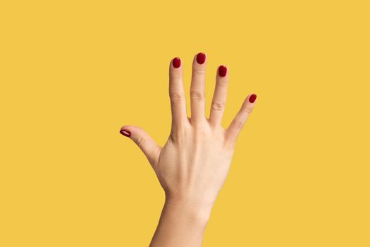 Profile side view closeup of woman hand showing number five with hand or waving hand to greeting. Indoor studio shot isolated on yellow background.