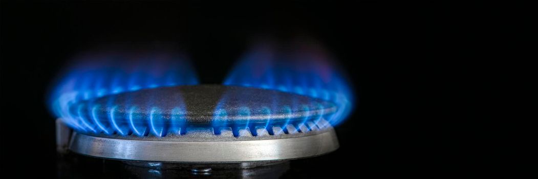 Combustion of natural gas, propane. Gas stove on a black background. Fragment of a gas kitchen stove with a blue flame, close-up. Energy crisis concept, rise in price or price of gas