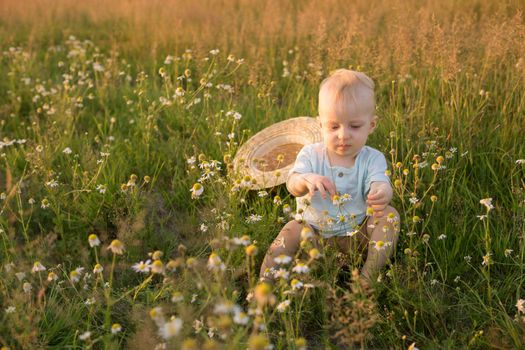 A little blond boy in a straw hat is sitting in the grass in a chamomile field. The concept of walking in nature, freedom and an environmentally friendly lifestyle.