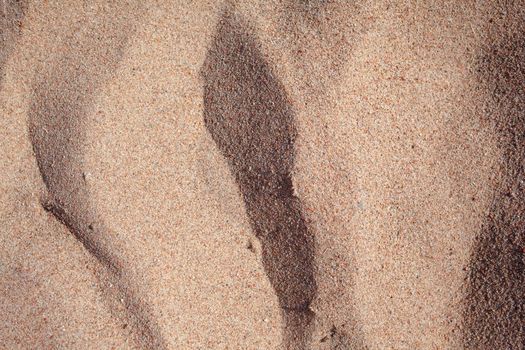 The texture of pure sand on the beach or in the desert. There is free space for the text.