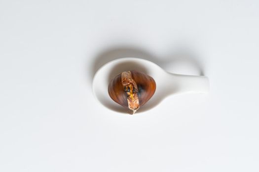 seasonal chestnuts harvested from the field on a white background