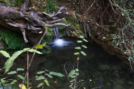 waterfall in a high mountain stream, dense vegetation, fishing shelter