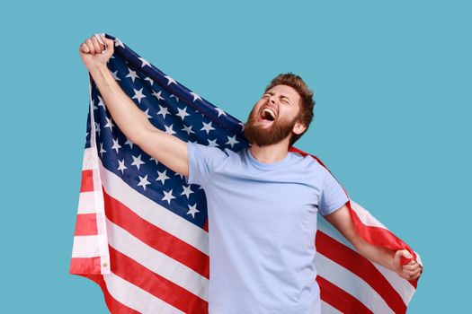 Portrait of delighted satisfied bearded man holing huge american flag and rejoicing while celebrating national holiday, looking up and yelling. Indoor studio shot isolated on blue background.