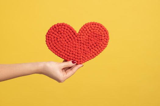 Profile side view closeup of woman hand holding red heart, showing romantic feelings. Indoor studio shot isolated on yellow background.