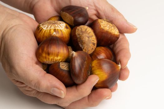 seasonal chestnuts harvested from the field on a white background