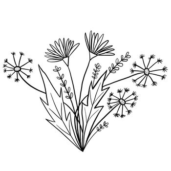 Hand drawn floral flower leaves illustration, black white elegant wedding ornament, Line art minimalism tatoo style design summer spring nature branch foliage blossom