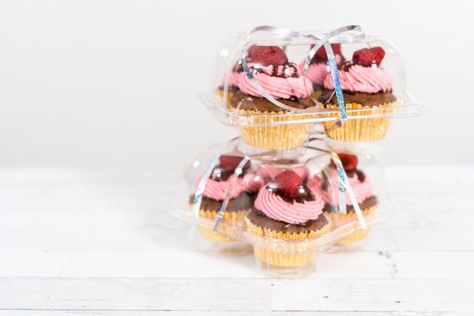 Packaging gourmet chocolate raspberry cupcakes into clear plastic boxes.
