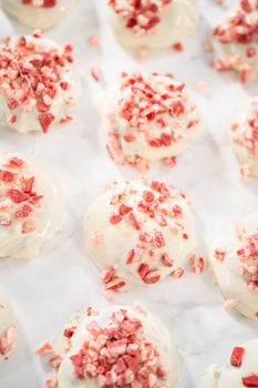 Dipping chocolate cookies into the melted white chocolate to prepare peppermint white chocolate cookies.