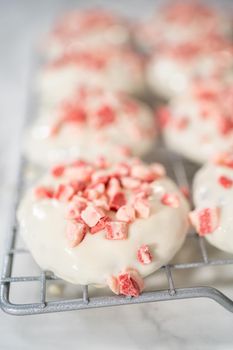 Dipping chocolate cookies into the melted white chocolate to prepare peppermint white chocolate cookies.