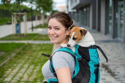 Caucasian woman walking outdoors with dog jack russell terrier in a special backpack