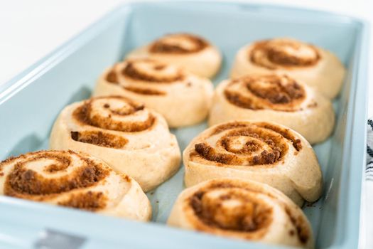 Unbaked cinnamon rolls in a blue baking pan.