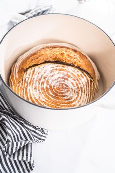 Freshly baked loaf of a wheat sourdough bread with marks from bread proofing basket in enameled cast iron dutch oven.