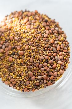 Day 1. Variety of seeds in a small glass bowl for growing sprouts in a jar.