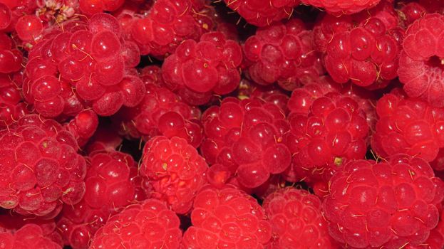 Beautiful raspberries. Texture of fresh ripe raspberries.