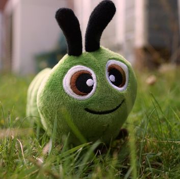 Funny green plush caterpillar in the grass. The background is blurred. A toy for Children or babies. 