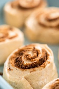 Unbaked cinnamon rolls in a blue baking pan.