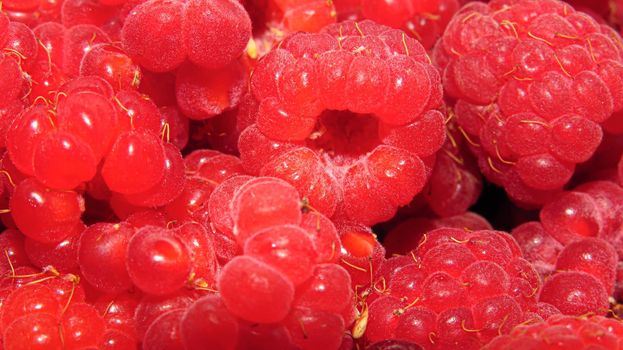 Beautiful raspberries. Texture of fresh ripe raspberries.