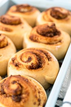 Freshly baked cinnamon rolls in a blue baking pan.