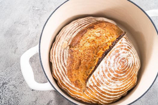 Freshly baked loaf of a wheat sourdough bread with marks from bread proofing basket in enameled cast iron dutch oven.