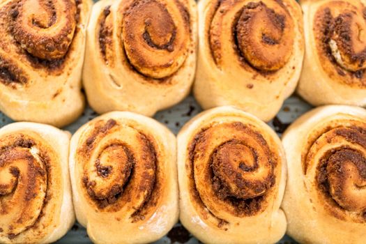 Freshly baked cinnamon rolls in a blue baking pan.