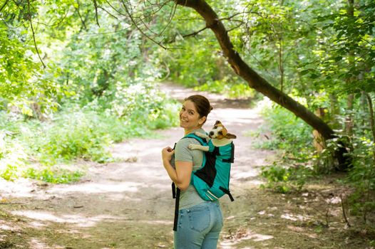Caucasian woman walking outdoors with dog jack russell terrier in a special backpack