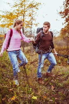 Tourists in love walking in autumn nature holding hands. Two young backpackers, man and woman dressed in warm clothes carefully wade through thick grass holding hiking sticks in hand. Travel concept.