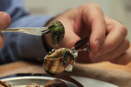 Man eating escargots de Bourgogne using a special tong and a snail fork