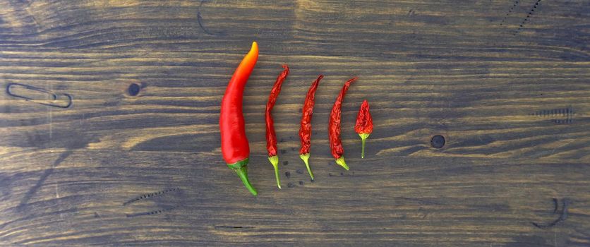 Hot chili pepper panorama still life over a wood background with a descending row of fresh and dried red chillies with copyspace