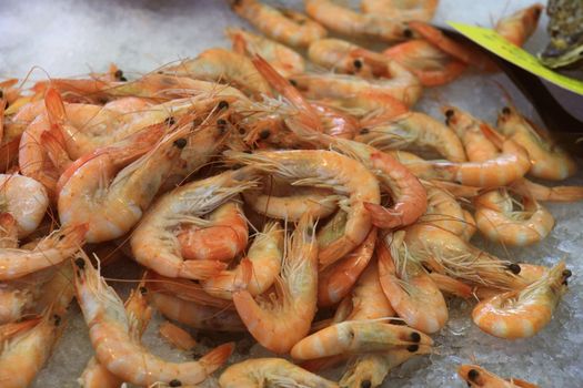 Prawns on ice on a local fishmarket