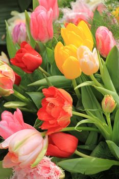 Different colors in a mixed tulip bouquet