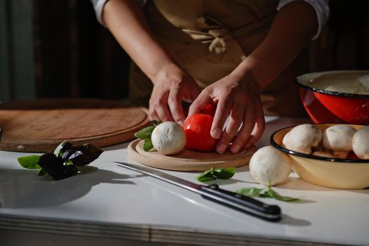 Details: Hands of a chef holding ripe juicy red tomatoes and mushroom champignon. Fresh organic vegetables are on a kitchen table in rustic environment. Preparing healthy food concept