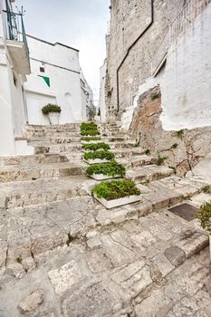 Amazing architecture of an old streets decorated with plants in flowerpots. Old steps leading up. Downtown, white city Ostuni, Bari, Italy. Tourism, travel concept.