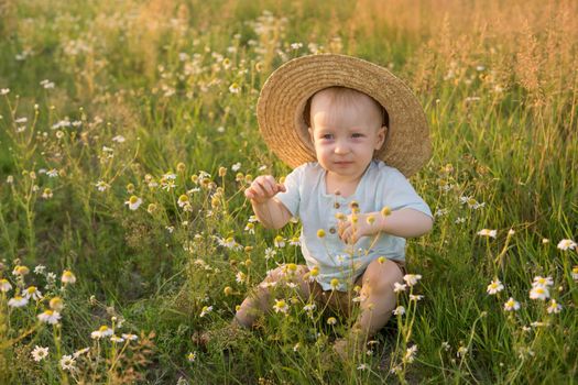 A little blond boy in a straw hat is sitting in the grass in a chamomile field. The concept of walking in nature, freedom and an environmentally friendly lifestyle.