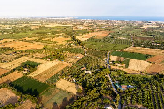 top view of crop fields near of the Mediterranean sea in Tarragona, green field agriculture industry aerial view