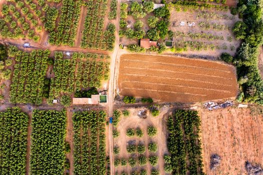 top view of different crop fields of a farm plantation, green field background agricultural industry aerial view