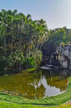 Pink flamingos in pond lake in luxury resort in Quintana Roo Mexico.