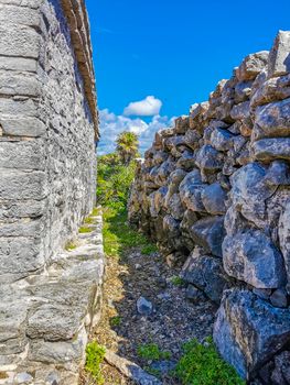 Ancient Tulum ruins Mayan site with temple ruins pyramids and artifacts in the tropical natural jungle forest palm and seascape panorama view in Tulum Mexico.