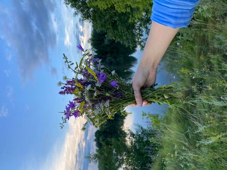 The girl holds wild flowers in her hand overlooking the lake and the sky. Travel concept, summer vacation.